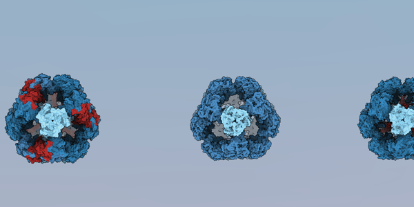 Resolution Revolution—FEBS Letters' Cryo-Electron Microscopy Special Issue