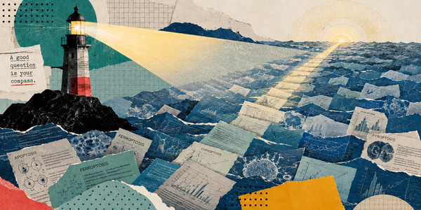Thinking like a Scientist, Part five: The Burden of Knowledge