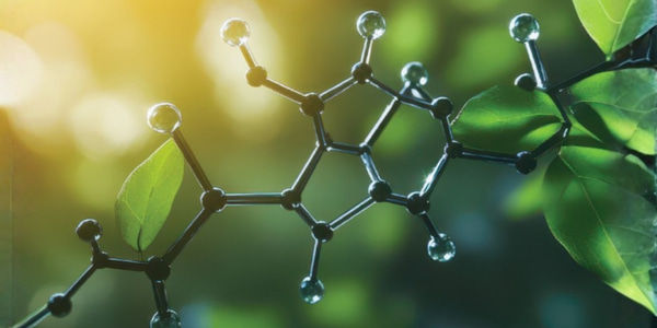 In the Limelight: Bioplastics and Biopoylmers