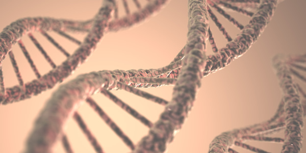 IUBMB Focused Meeting on Synthetic Biology 2027: Abstract submissions now open