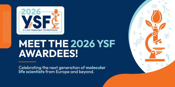 Meet the YSF 2026 awardees!